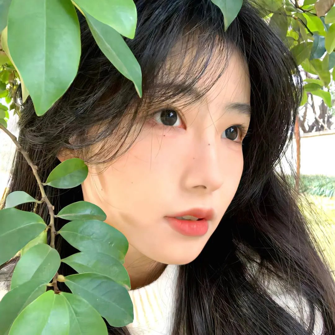 南风不识旧时人